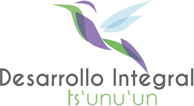 Logo de Desarrollo Integral Tsu'unu'un